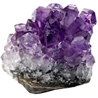 Los mejores  - NVFED Piedra Natural Amatista Cuarzo Geode Cluster Irregular Gem Cristales curativos del espécimen (Size : S 100 150…
